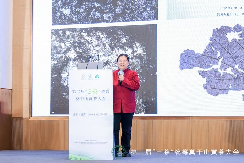 有关于第二届“三茶”统筹莫干山黄茶大会成功举办的资讯(9)