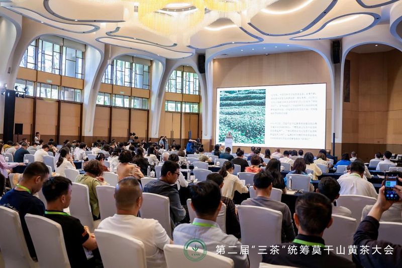 有关于第二届“三茶”统筹莫干山黄茶大会成功举办的资讯(18)