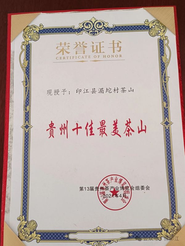 关于 湄坨村：一片茶“叶”带出一片“业”的新闻(9)