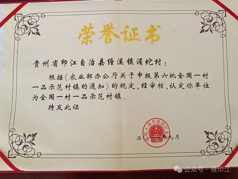 关于 湄坨村：一片茶“叶”带出一片“业”的新闻(7)