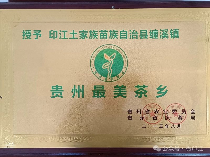 关于 湄坨村：一片茶“叶”带出一片“业”的新闻(5)