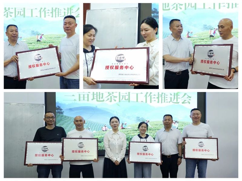 关于湄潭三亩地公司：创新模式助力茶产业增值增效的相关内容(2)