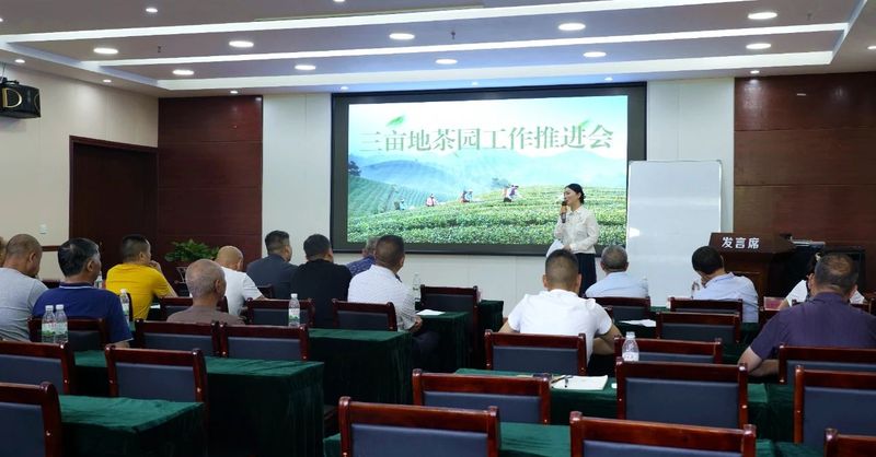 关于湄潭三亩地公司：创新模式助力茶产业增值增效的相关内容