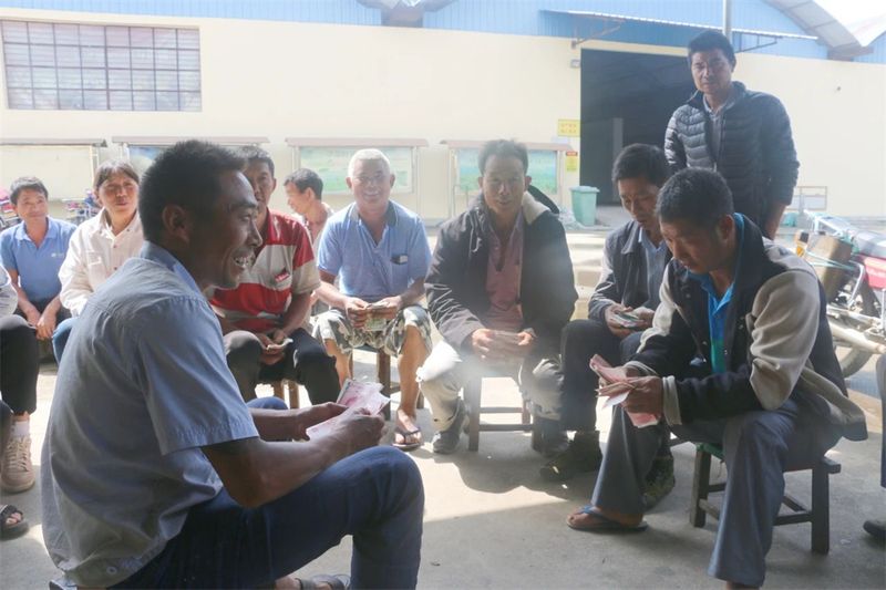 关于五岔路乡：茶产业成为乡村振兴“绿色引擎”的内容