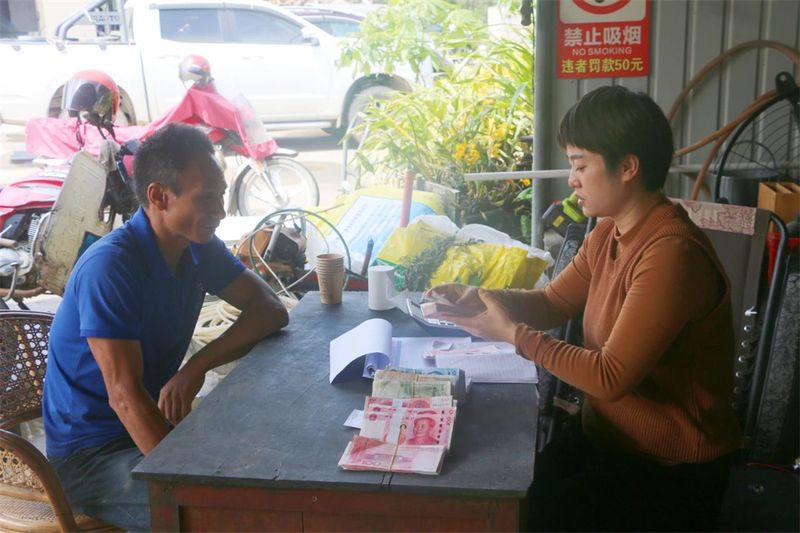 关于五岔路乡：茶产业成为乡村振兴“绿色引擎”的内容(1)