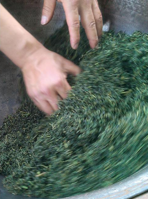 关于天台山云雾茶，价值11.47亿！的内容(3)