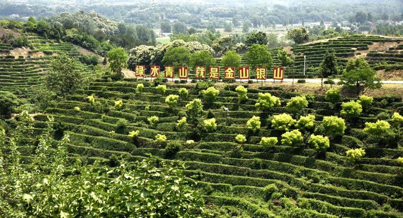 关于罗山县老科协到灵山茶叶创业园区调研的最新消息(2)