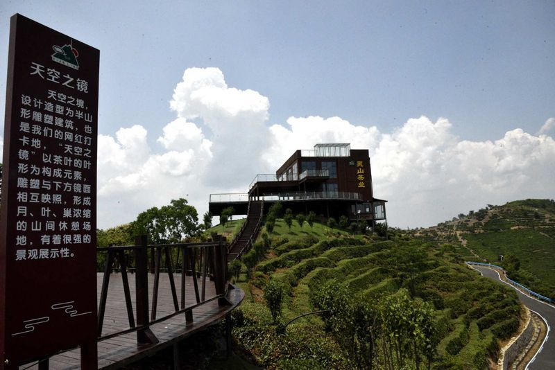 关于罗山县老科协到灵山茶叶创业园区调研的最新消息(3)