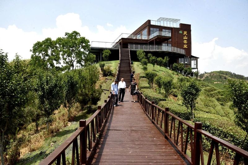 关于罗山县老科协到灵山茶叶创业园区调研的最新消息(4)