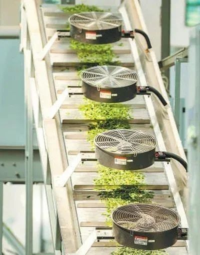 有关于人民日报:我国茶产业实现多元化发展——知茶爱茶 共品茶香的资讯(1)