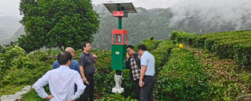 有关于中茶所罗宗秀团队来古丈县进行绿色防控调研的最新消息(1)