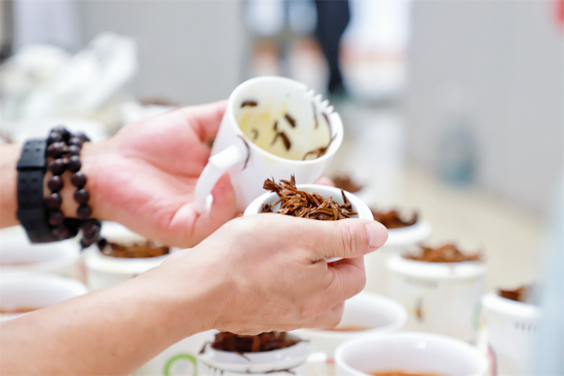 有关于“坦洋工夫”杯2024全国红茶产品与包装调查推选暨福安市第十九届斗茶赛在福安举办的消息(9)