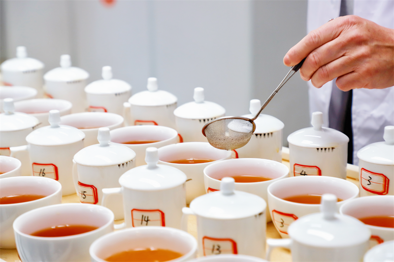 有关于“坦洋工夫”杯2024全国红茶产品与包装调查推选暨福安市第十九届斗茶赛在福安举办的消息(10)