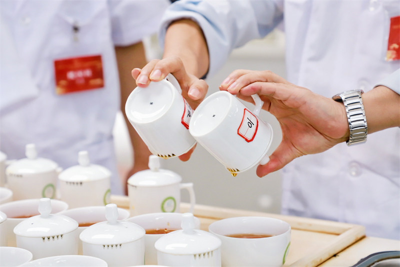 有关于“坦洋工夫”杯2024全国红茶产品与包装调查推选暨福安市第十九届斗茶赛在福安举办的消息(7)