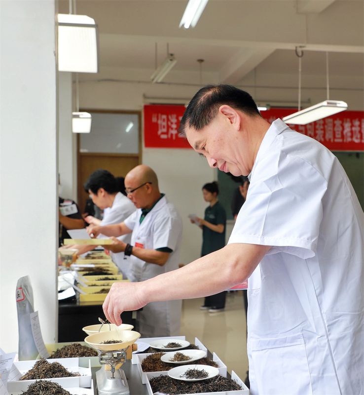 有关于“坦洋工夫”杯2024全国红茶产品与包装调查推选暨福安市第十九届斗茶赛在福安举办的消息(1)