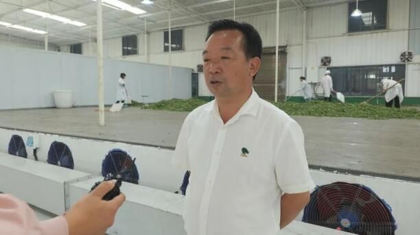 关于安顺市夏秋茶生产推进暨现场观摩会在紫云召开的相关信息(3)