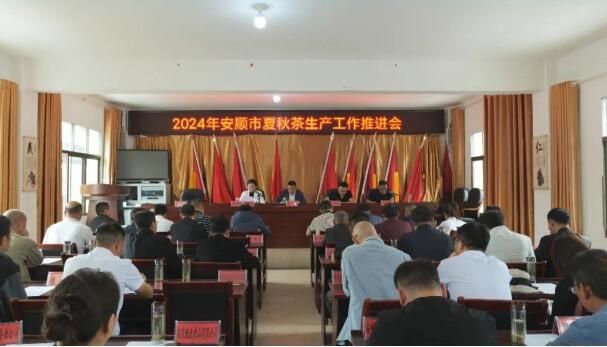 关于安顺市夏秋茶生产推进暨现场观摩会在紫云召开的相关信息