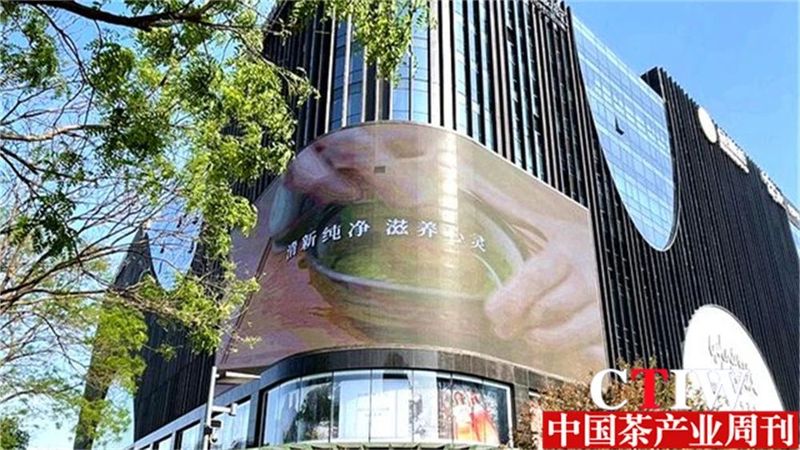 关于青山藏不住 黔茶正飘香——持续深耕茶产业做强“贵州绿茶”品牌的最新消息(3)