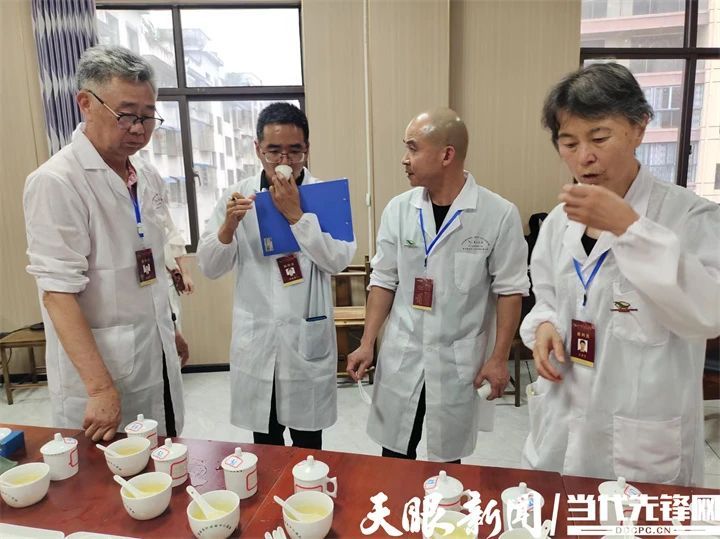 有关于指尖较量显“功夫”!贵州首届“夷州杯”民间斗茶技能大赛在凤冈举行的消息(5)