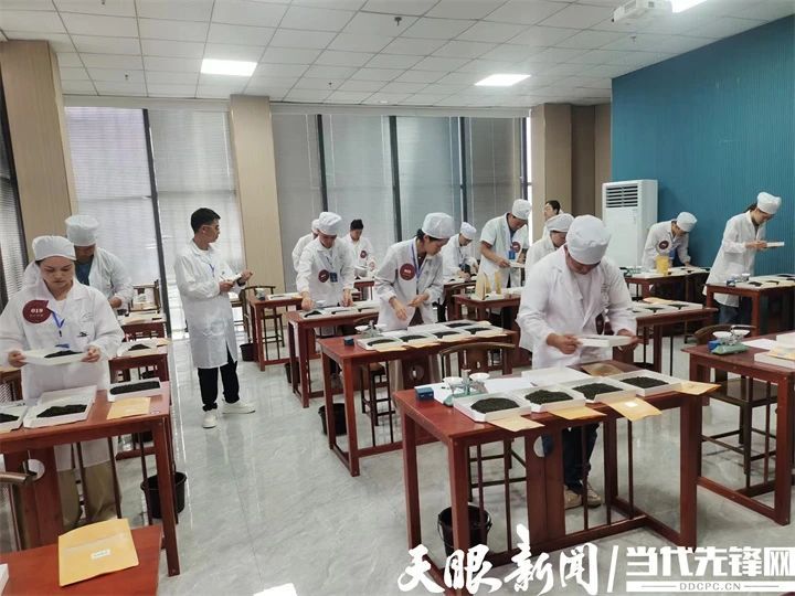 有关于指尖较量显“功夫”!贵州首届“夷州杯”民间斗茶技能大赛在凤冈举行的消息(3)