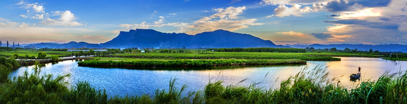 有关于入选农遗十周年！从福州茉莉花与茶文化系统，看农遗的当代保护的新闻