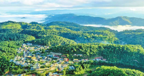 有关于2023年产值达1504.2亿元！云南由茶业大省向茶业强省稳步迈进的内容(1)