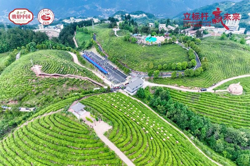 有关于携“神农×野茶宝藏”两大卖点，巴东红想成为湖北红茶第二的资讯(5)