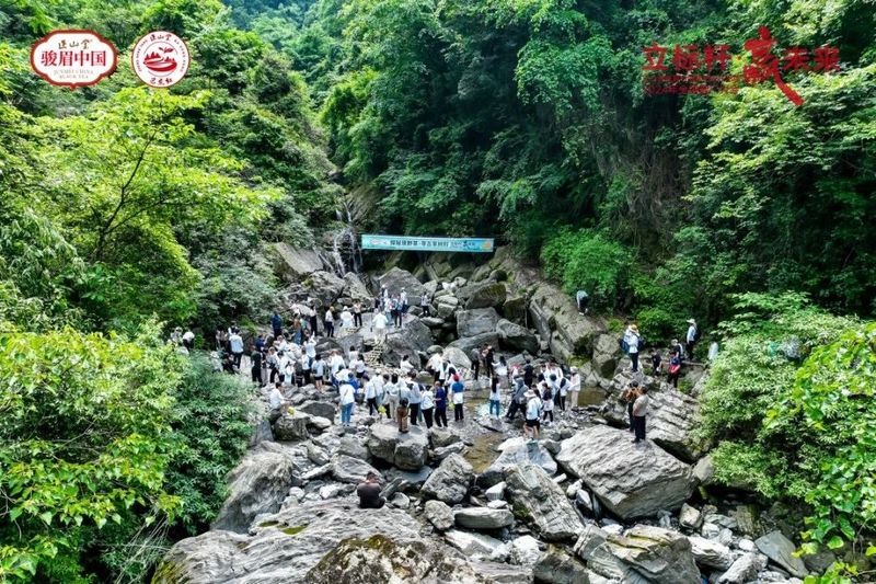 有关于携“神农×野茶宝藏”两大卖点，巴东红想成为湖北红茶第二的资讯(4)