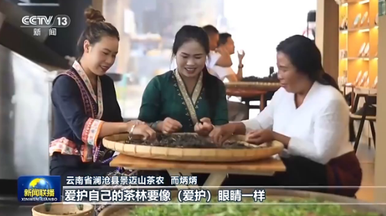 关于文化中国行 一缕茶香飘传千年 飘至世界的消息(3)