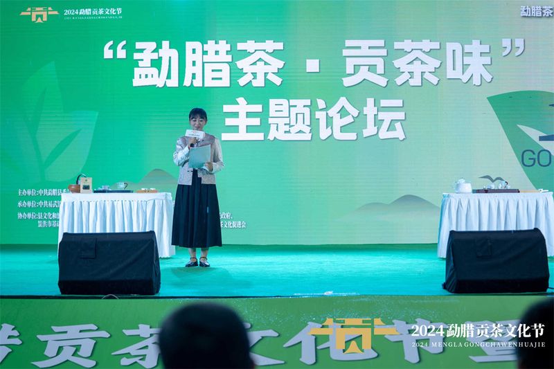 有关于2024年勐腊贡茶文化节暨第十二届斗茶大会圆满落幕！的相关信息(11)