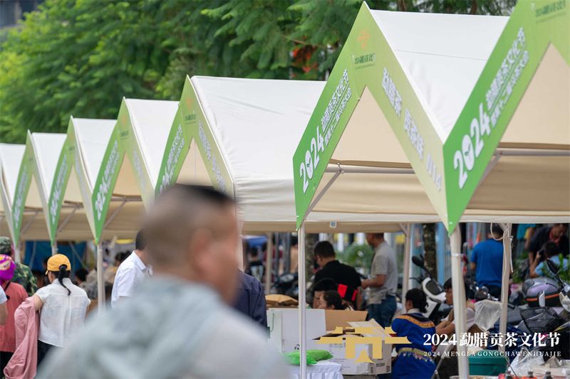 有关于2024年勐腊贡茶文化节暨第十二届斗茶大会圆满落幕！的相关信息(17)