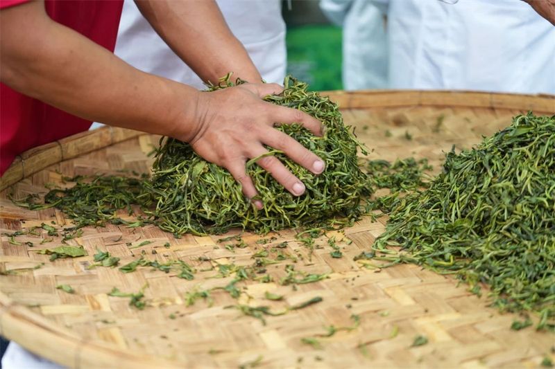 有关于2024年勐腊贡茶文化节暨第十二届斗茶大会圆满落幕！的相关信息(5)