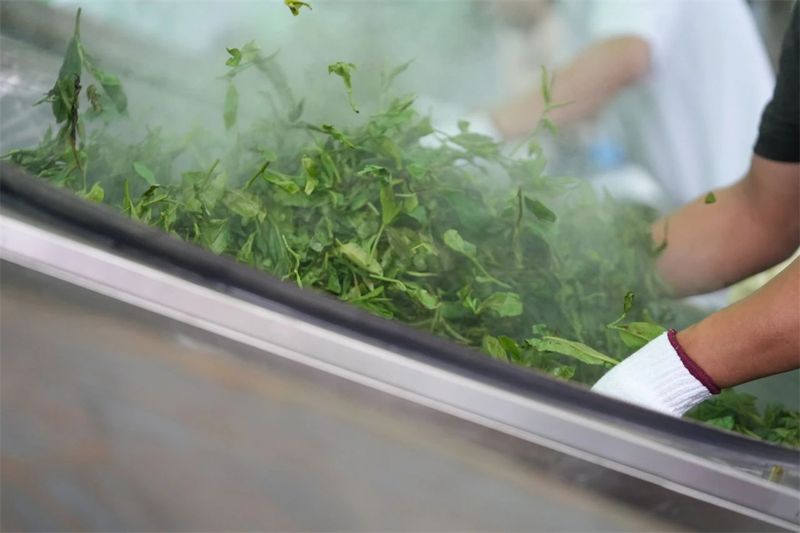 有关于2024年勐腊贡茶文化节暨第十二届斗茶大会圆满落幕！的相关信息(20)