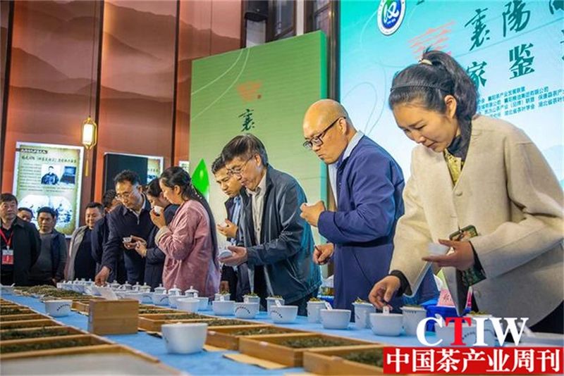 有关于聚焦高质量发展，楚茶越千年，产业奔千亿的新闻(5)