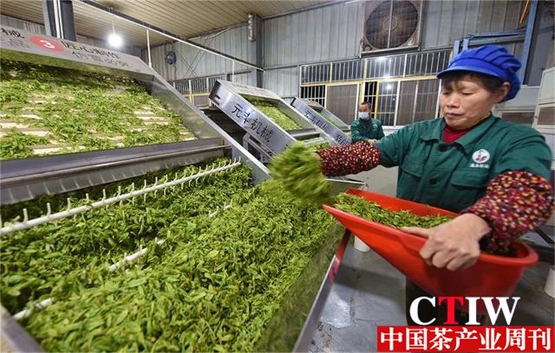 有关于聚焦高质量发展，楚茶越千年，产业奔千亿的新闻(1)