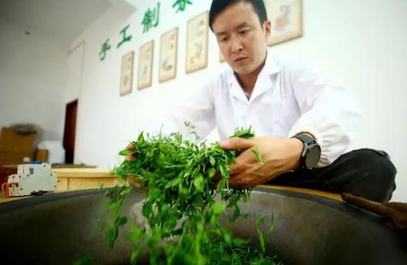 关于中国西北茶乡“拉长”产业旺季带动茶农增收的资讯(1)