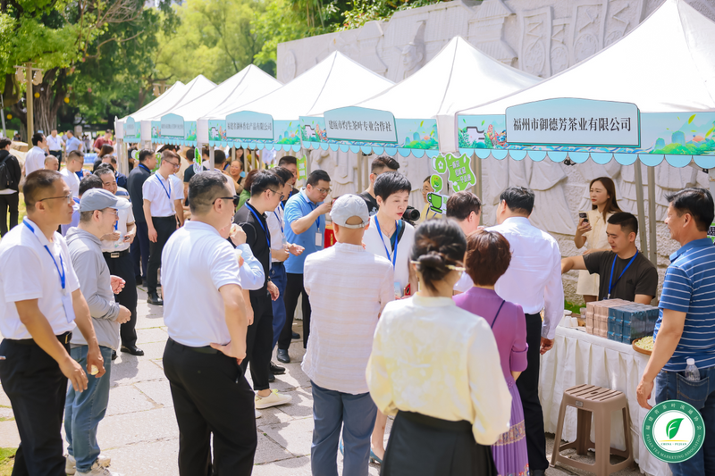 关于让茶叶融入大众生活！“国际茶日·福茶行天下”健康饮茶活动举办的相关信息(3)