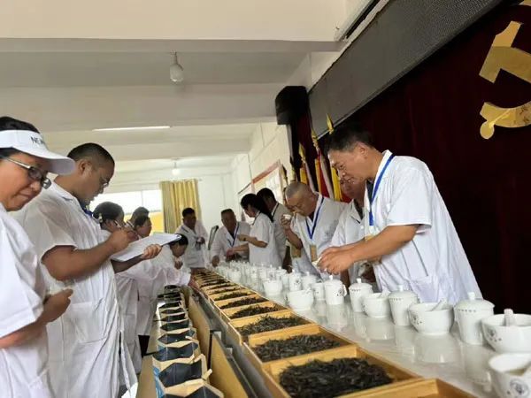 关于云南省景洪市勐龙镇与景哈乡科技特派队服务助力勐宋第四届古茶“斗茶大赛”的最新消息(1)