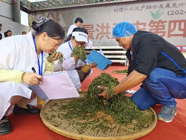 关于云南省景洪市勐龙镇与景哈乡科技特派队服务助力勐宋第四届古茶“斗茶大赛”的最新消息(2)