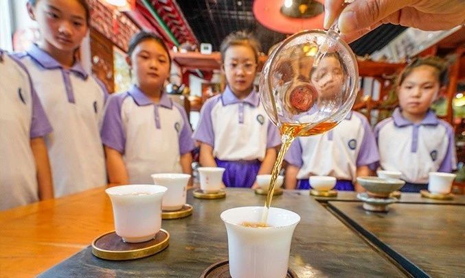 关于河北遵化：“小茶艺师”体验传统茶文化的内容(2)