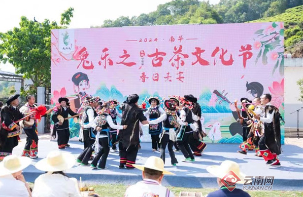 关于楚雄南华：人大代表来助力 茶香烹出乡村振兴新活力的新闻(2)