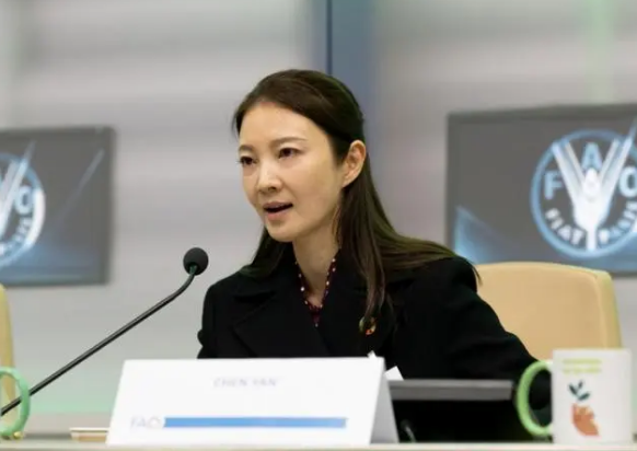 关于中国茶企参加联合国粮农组织“国际茶日”活动的信息