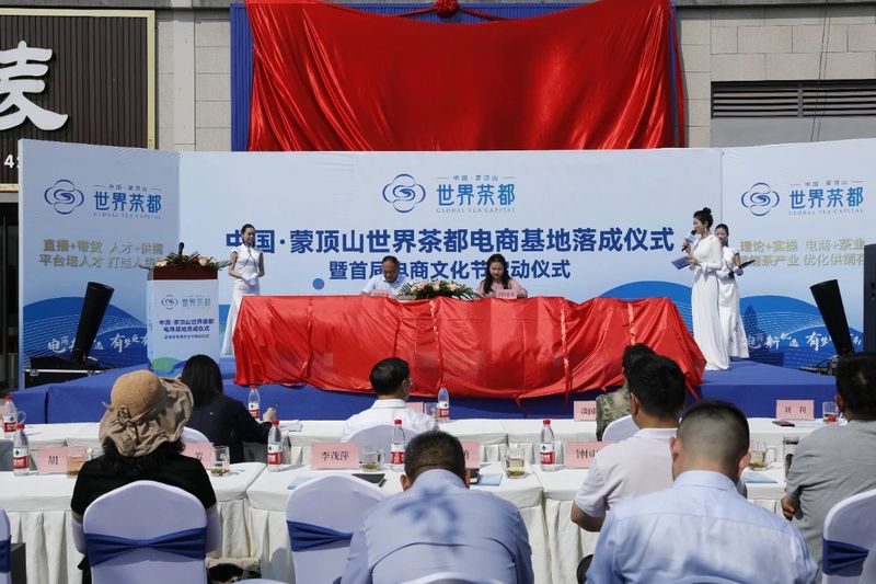 关于世界茶都·电商基地落成仪式暨首届电商文化节启动仪式的相关内容(6)