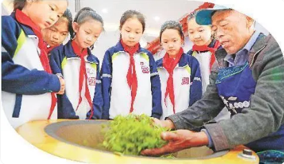 关于“一叶”变“多业”，看鲁茶的N种可能的消息(1)