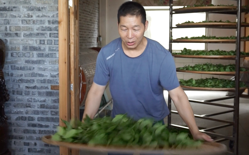 关于中国农业科学院茶叶研究所制茶师(泰宁岩茶)福建农村青年致富“种子工程”研习班圆满结束!的相关信息(8)