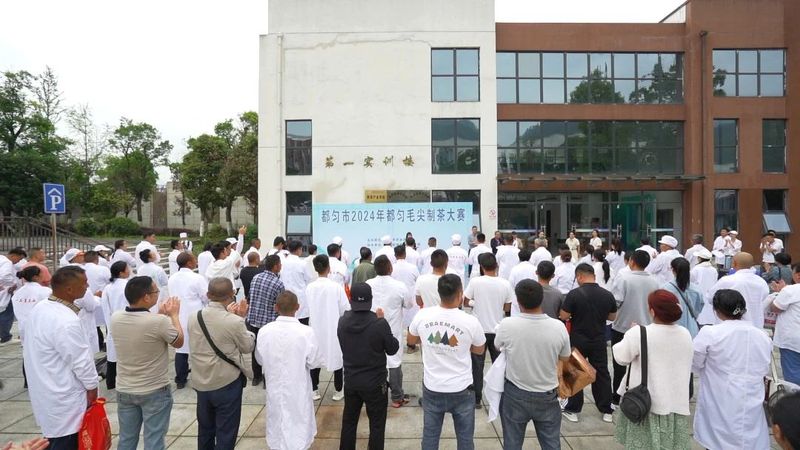 有关于世界非遗 都匀毛尖  都匀：赛手工制茶 展非遗技艺的相关信息