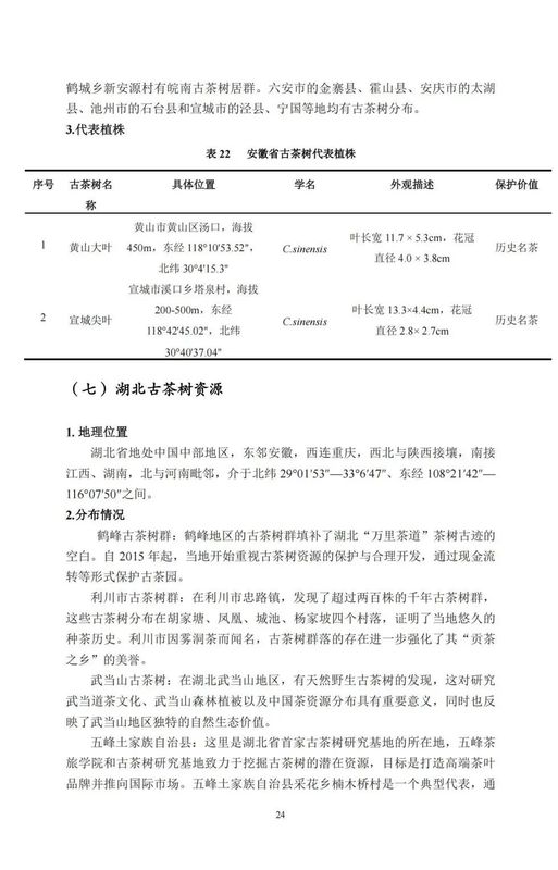 关于中国古茶树资源状况如何？云南最多，贵州、广西、四川其次的资讯(26)