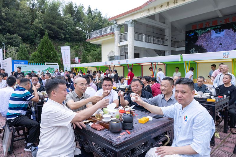 有关于安溪举办2024年人才研修康养暨桃舟春季生态低碳茶品鉴系列活动的新闻(14)