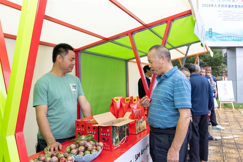 有关于安溪举办2024年人才研修康养暨桃舟春季生态低碳茶品鉴系列活动的新闻(18)