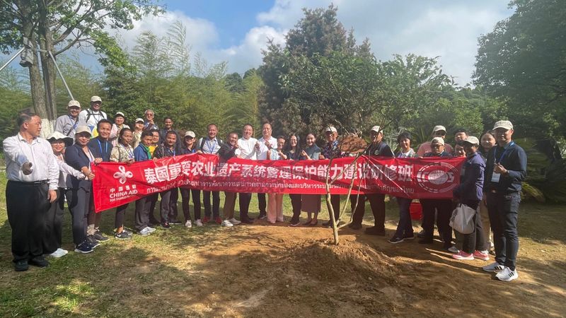 有关于泰好喝啦！泰国重要农业文化遗产系统管理研修班考察福鼎白茶的相关信息